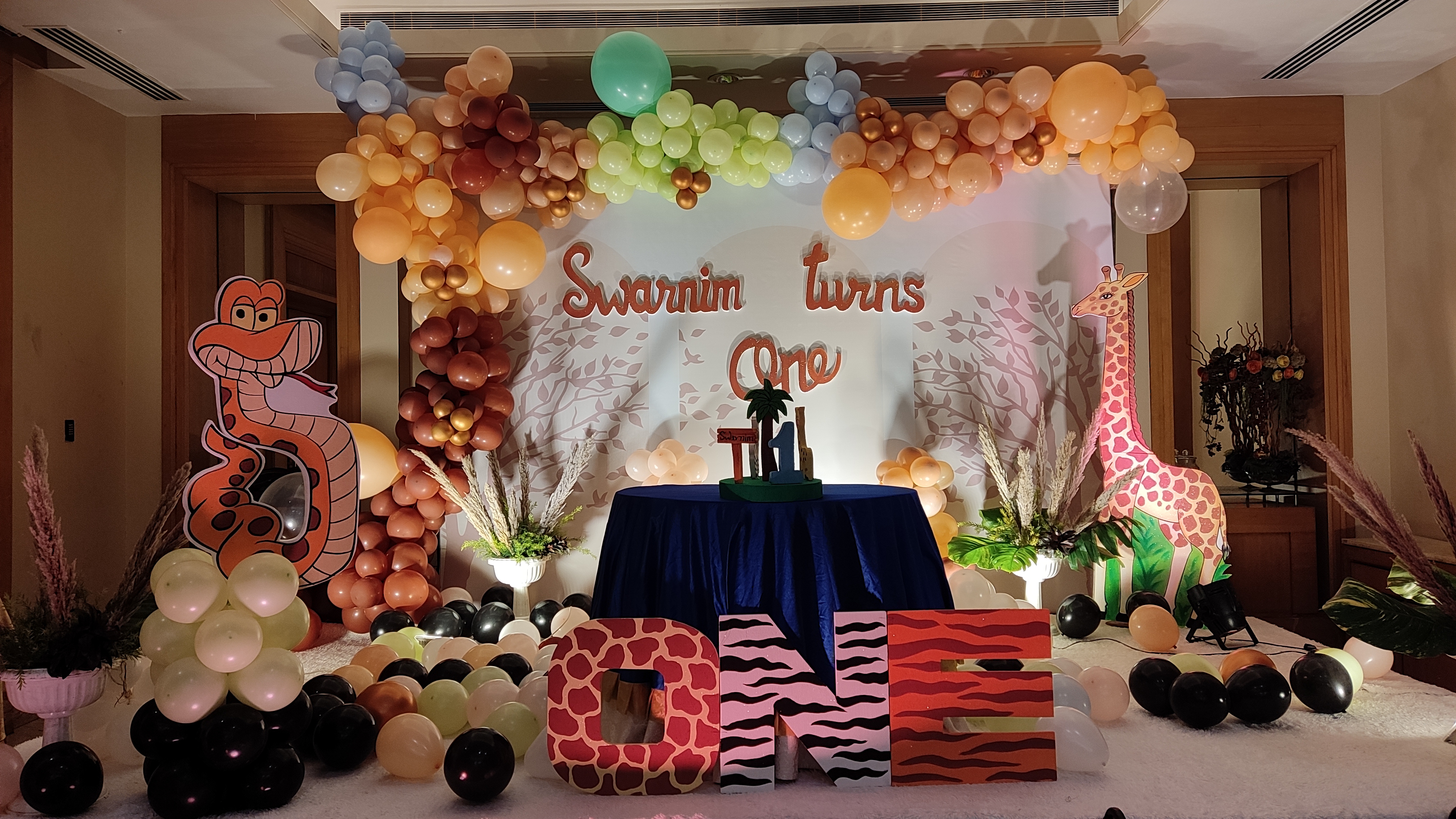 Birthday & Party